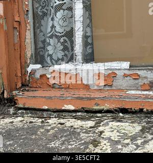 Close-up of peeling orange paint on a weathered wooden window frame with a lace curtain visible behind the glass. Stock Photo