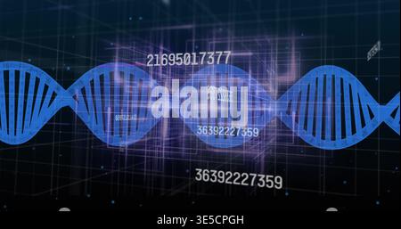 Rotating stylized blue DNA helix spanning virtual 3D genomics interface, showing numeric sequences Stock Photo
