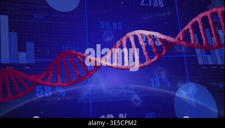Floating red 3D DNA helix crossing virtual dashboard, linking with bar charts and percent overlays Stock Photo