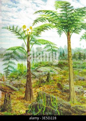 The Carboniferous. Prehistoric landscape with lush ferns, tall trees ...