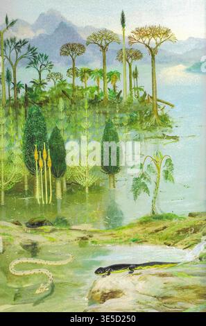 Prehistoric Flora, Carboniferous Landscape Stock Photo - Alamy