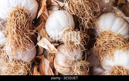 White and beautiful garlic on the grocery store counter. Stock Photo