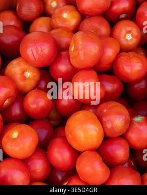 Red tomatoes are on the front of the grocery store. Stock Photo