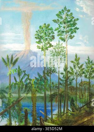 Prehistoric Flora, Carboniferous Landscape Stock Photo - Alamy