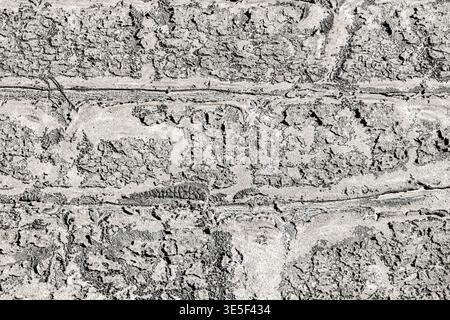 A top-down macro shot of a worn, grey industrial surface featuring a rectangular grid pattern and heavy weathering. This gritty, monochromatic texture Stock Photo