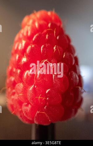 Close up of a single ripe red raspberry Stock Photo