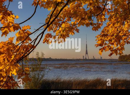Autumn leaves frame the vibrant skyline of a city at sunset beside a tranquil river Stock Photo