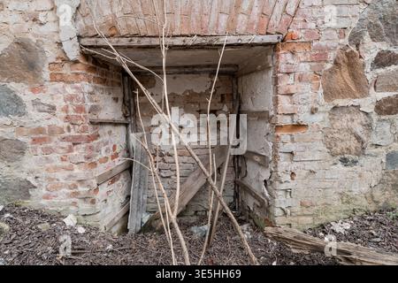 Crumbling red brick wall with exposed stone foundation framing decaying wooden door frame surrounded by dead branches and debris ground cover Stock Photo
