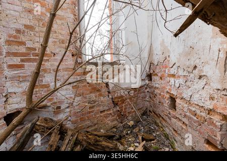 Dilapidated brick room with broken plaster walls, fallen wooden debris, and dry tree branches growing inside an abandoned structure showcasing decay Stock Photo