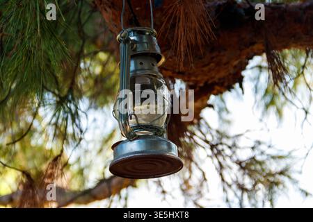 Old gas lamp hanging on a tree branch Stock Photo