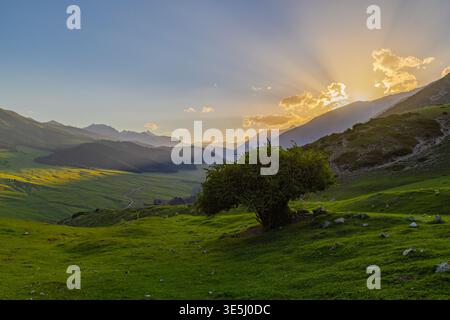 Serene sunset illuminates valley with towering mountains and a lone tree. Sun rays break through clouds, creating a tranquil and awe-inspiring scene. Stock Photo