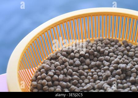 A close-up horizontal shot shows a pile of small, brown cylindrical food pellets inside a bright yellow plastic colander or sieve; the background is a Stock Photo