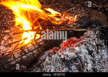 Vibrant orange flames roar above a smoldering log surrounded by white and gray ash in the wilderness setting Stock Photo