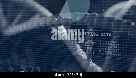 Rotating translucent double helix moving across virtual blue grid, showing COLLECTING DATA Stock Photo