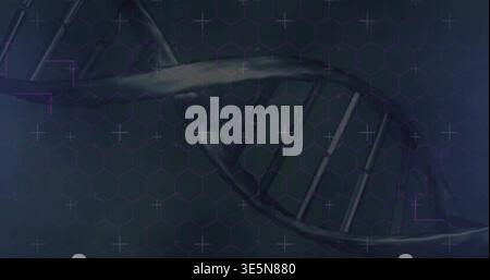 Displaying translucent DNA double helix running diagonally in tech interface, with hex grid Stock Photo
