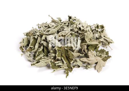 Dried raspberry leaves forming a pile for herbal tea preparation Stock Photo