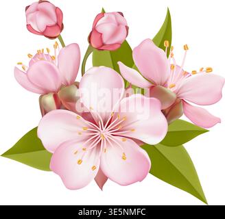 Composition Pink Sakura Blossom Branches  Stock Vector