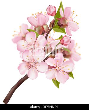 Composition Pink Sakura Blossom Branches Stock Vector
