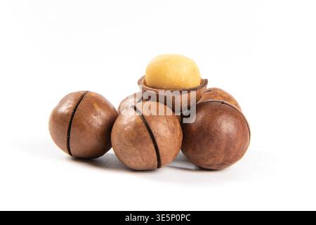 Macadamia nuts with one kernel removed from its shell on white background Stock Photo