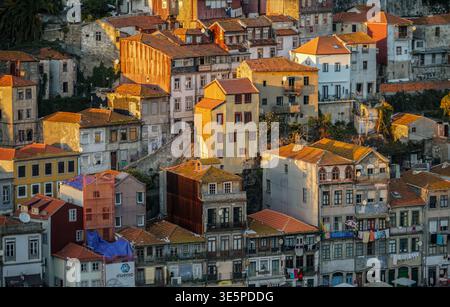 Building Rooftops in Porto Portugal Stock Photo