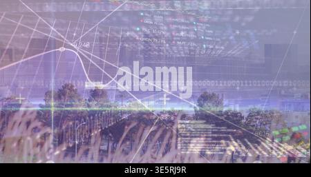 Overlaying financial charts and binary code over rural field, showing line charts, tickers, grasses Stock Photo