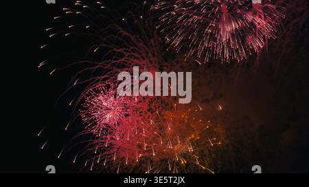 Colorful fireworks exploding in the night sky during a celebration Stock Photo