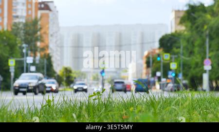 Fresh green grass foregrounding a blurred city street with driving cars and traffic lights Stock Photo