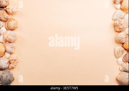 Arrangement Of Assorted Seashells On Beige Base Emphasizing Calm Coastal Ambiance Stock Photo