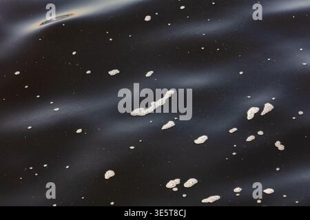 Dark black ocean water surface texture, wet sea foam abstract background with white seafoam patches on dark water Stock Photo