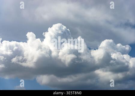 Cumulus white clouds bofies towering in clear blue sky background. Stock Photo