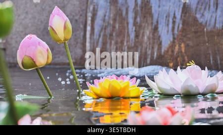 Colorful artificial lotus flowers floating on pond with small waterfall in background in Vietnam Stock Photo
