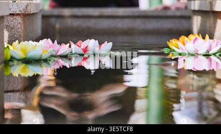 Colorful artificial lotus flowers floating on water with serene reflections in a stone basin Stock Photo