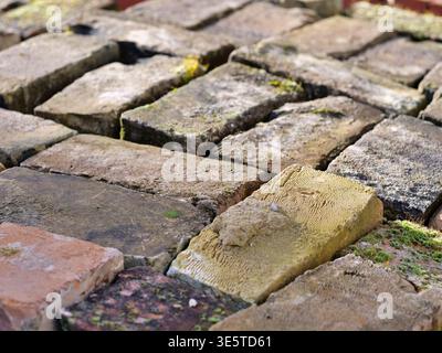 Close-up of weathered reclaimed old bricks with moss and mortar residue. Top view of colorful salvaged clay bricks for rustic construction or landscap Stock Photo