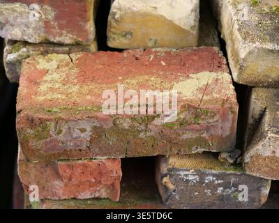 Close-up of a weathered red brick with green moss and mortar stains. Stack of old reclaimed clay bricks for rustic construction and landscaping. Vinta Stock Photo