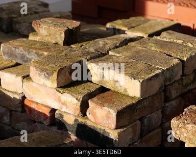 Close-up of old weathered bricks with green moss and mortar residue. Stack of reclaimed antique clay bricks in various colors for rustic construction Stock Photo