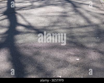 Close up of dark tree shadows on grey asphalt. Sunny day shadow patterns on paved walkway. Texture of asphalt road with tree silhouettes. Natural abst Stock Photo