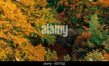 Aerial perspective showcasing a dense forest during peak fall colors with a rocky crevice visible below Stock Photo