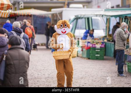Easter bunny in costume holding basket surrounded by market visitors, Easter campaign, Sindelfingen, Boeblingen district, Germany Stock Photo