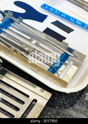 A set of dental tools in a tray on a white background Stock Photo