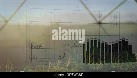 Projecting transparent data visualization overlaying rural field, showing black vertical bar chart Stock Photo