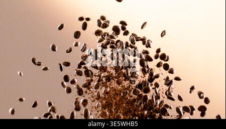 Roasted, falling and coffee beans with caffeine in studio background for blending, production and aroma. Espresso, granules or grinding process for Stock Photo