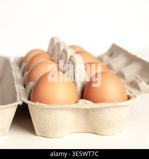 Closeup front view of fresh brown chicken eggs in open cardboard carton package on clean white copy space background Stock Photo