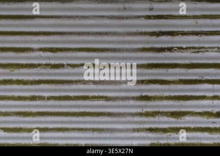 Corrugated metal surface with moss and weathered texture Stock Photo