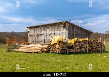 Firewood and trunks in front of an old barn on a meadow Stock Photo