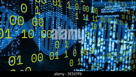 Glowing blue double helix DNA strand running across virtual lab grid, with binary digits streaming Stock Photo