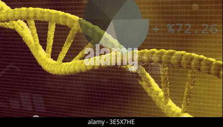 Displaying yellow DNA double helices crossing diagonal in lab HUD, showing pie chart +%72 Stock Photo