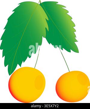 Pair of yellow cherry berries with green leaves vector illustration on transparent background. Fresh organic fruit icon for food branding Stock Vector