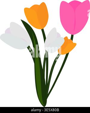 Bouquet of colorful tulip flowers vector illustration on transparent background. Pink, orange, and white tulips for spring holiday Stock Vector