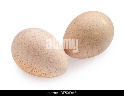 Turkey eggs clipping path isolated on white background Stock Photo