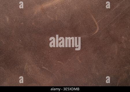 brown leather texture closeup detailed background Stock Photo